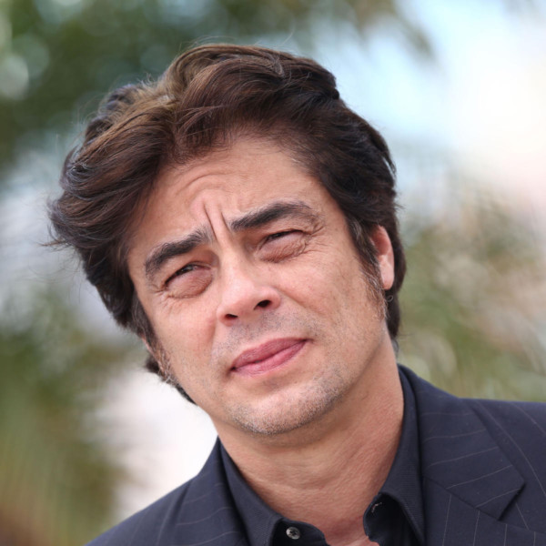Benicio del Toro will laugh at Tina Fey.