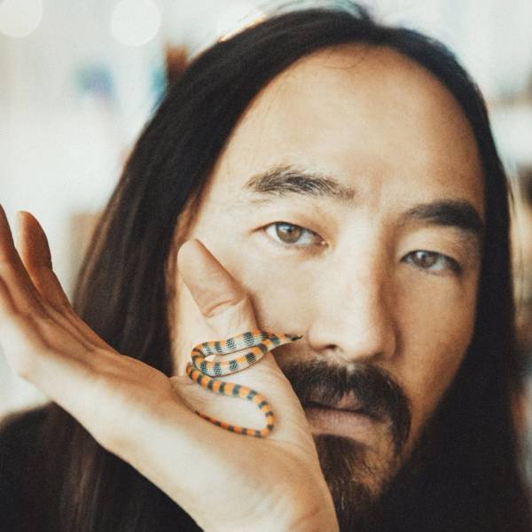 Steve Aoki Married Tiernan Cowling Who's 14 Years Younger and Alright ...